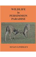 Wildlife in Persimmon Paradise