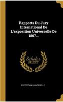 Rapports Du Jury International De L'exposition Universelle De 1867...