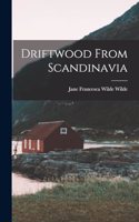 Driftwood From Scandinavia