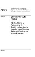 Supply Chain Risks