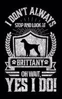 I Don't Always Stop and Look At Brittany OH Wait, Yes I Do!: Gifts for Dog Owners 100 page Daily 6 x 9 journal to jot down your ideas and notes