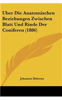 Uber Die Anatomischen Beziehungen Zwischen Blatt Und Rinde Der Coniferen (1886)