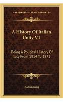 A History Of Italian Unity V1