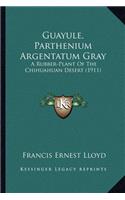 Guayule, Parthenium Argentatum Gray