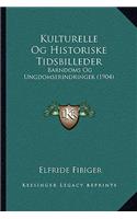 Kulturelle Og Historiske Tidsbilleder