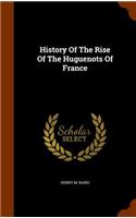 History Of The Rise Of The Huguenots Of France