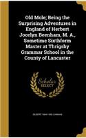 Old Mole; Being the Surprising Adventures in England of Herbert Jocelyn Beenham, M. A., Sometime Sixthform Master at Thrigsby Grammar School in the County of Lancaster