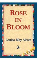 Rose in Bloom: (English)