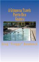 A Gringocua Travels Puerto Rico Guanica