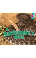 Rattlesnake's World