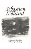 Sebastian Goes to Iceland