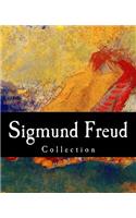 Sigmund Freud, Collection