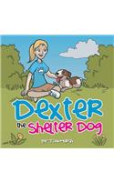 Dexter the Shelter Dog