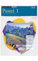 Beginner's Guide: Pastel 1