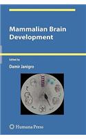 Mammalian Brain Development