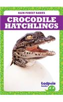 Crocodile Hatchlings: (Rain Forest Babies)