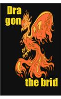 Dragon the brid