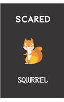 scared squirrel