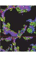 Lab Notebook