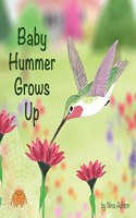 Baby Hummer Grows Up