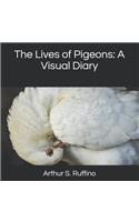 The Lives of Pigeons