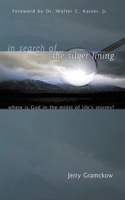 In Search of the Silver Lining