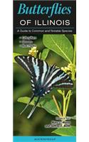 Butterflies of Illinois