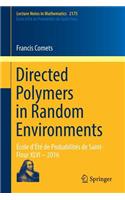 Directed Polymers in Random Environments