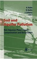 Soil and Aquifer Pollution