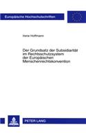 Der Grundsatz Der Subsidiaritaet Im Rechtsschutzsystem Der Europaeischen Menschenrechtskonvention