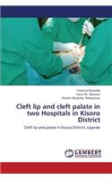 Cleft Lip and Cleft Palate in Two Hospitals in Kisoro District