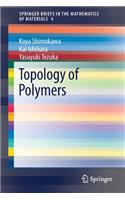Topology of Polymers
