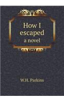 How I Escaped a Novel