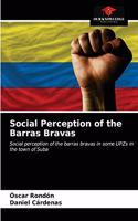 Social Perception of the Barras Bravas