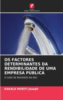 OS Factores Determinantes Da Rendibilidade de Uma Empresa Pública