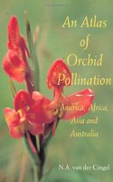 An Atlas of Orchid Pollination