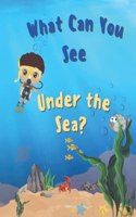 What Can You See