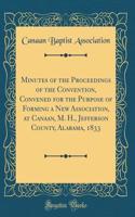 Minutes of the Proceedings of the Convention, Convened for the Purpose of Forming a New Association, at Canaan, M. H., Jefferson County, Alabama, 1833 (Classic Reprint)