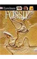 Fossil: (DK Eyewitness)
