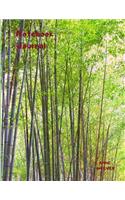 Blissful Balance Notebook Journal: A Bamboo Theme Blank Lined, Dot Matrix, Sketch Page Combination Style Composition Book for Asian Art Lovers