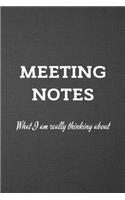 MEETING NOTES What I Am Really Thinking About