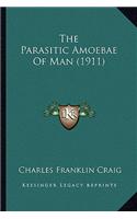 Parasitic Amoebae of Man (1911)