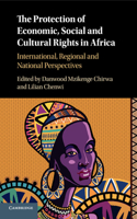 Protection of Economic, Social and Cultural Rights in Africa