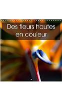 Des Fleurs Hautes En Couleur 2017