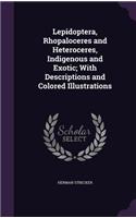 Lepidoptera, Rhopaloceres and Heteroceres, Indigenous and Exotic; With Descriptions and Colored Illustrations
