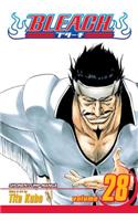 Bleach, Vol. 28