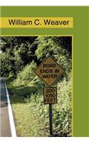 Road Ends in Water