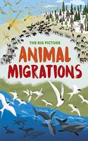 The Big Picture: Animal Migrations: (The Big Picture)