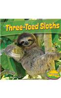 Three-Toed Sloths