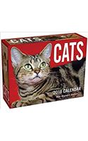 Cats 2018 Mini Day-to-Day Calendar